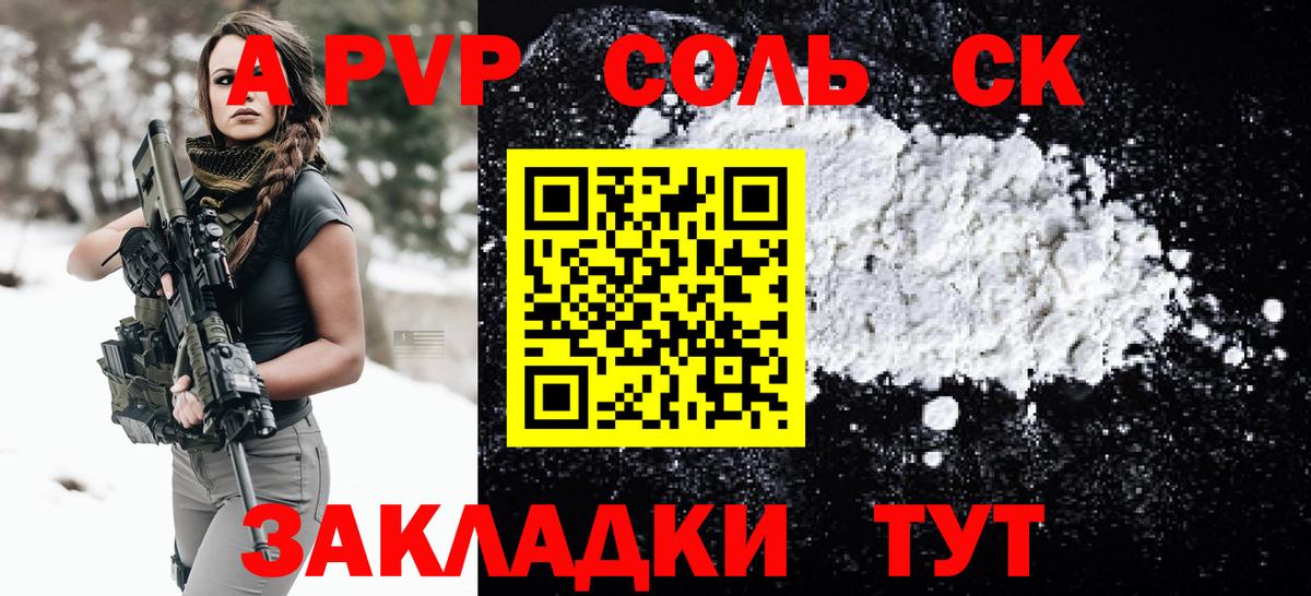 Alfa_PVP СК КРИС Малгобек
