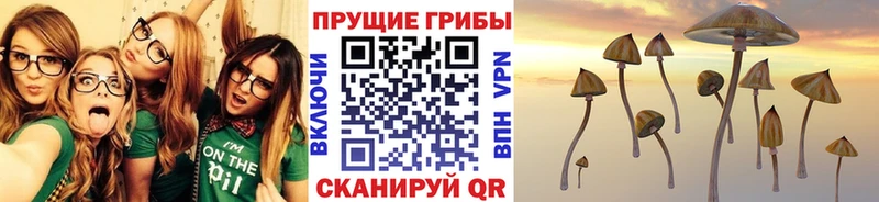 магазин продажи наркотиков  Малгобек  ссылка на мегу ссылка  Галлюциногенные грибы Magic Shrooms 