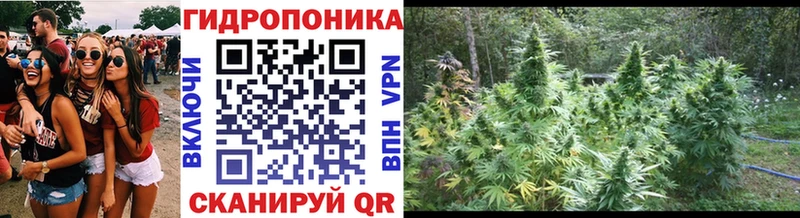 Бошки Шишки SATIVA & INDICA  хочу   Малгобек 